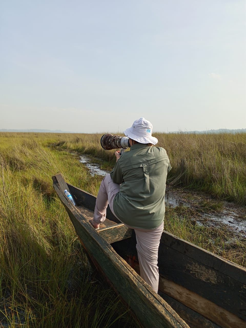 Safari gallery image 4