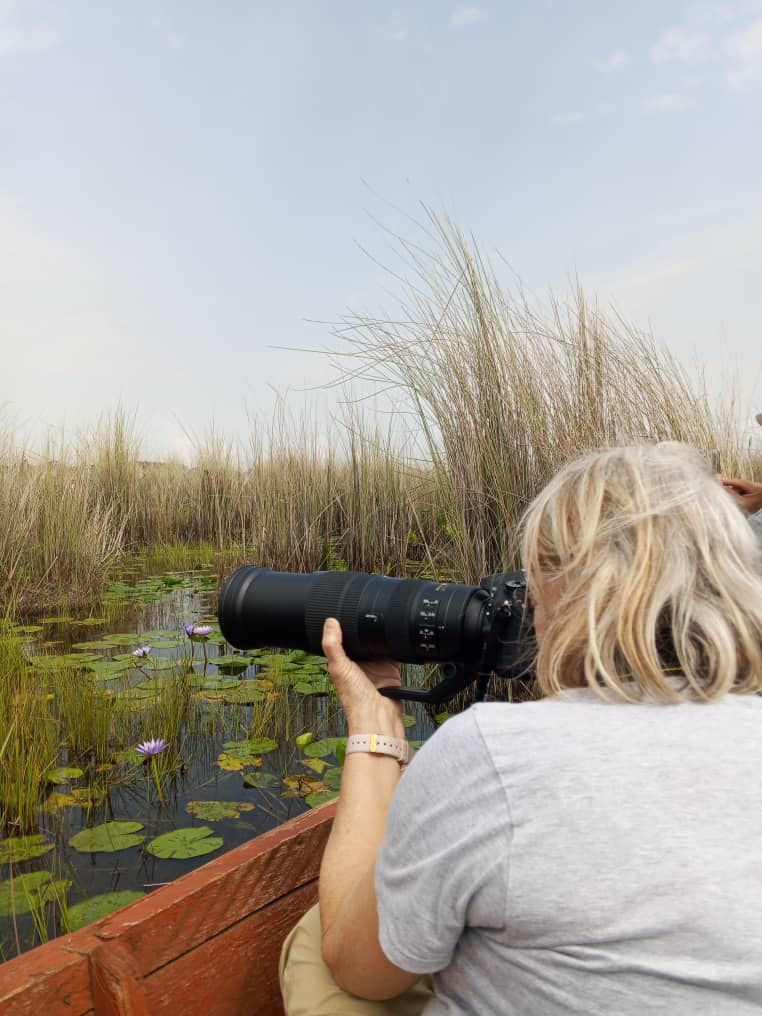 Safari gallery image 5