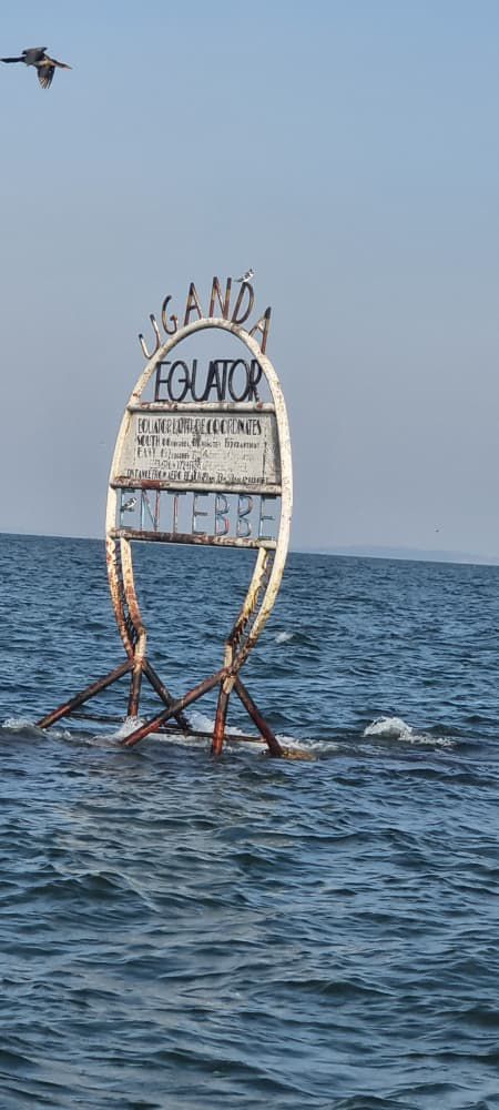 Safari gallery image 30