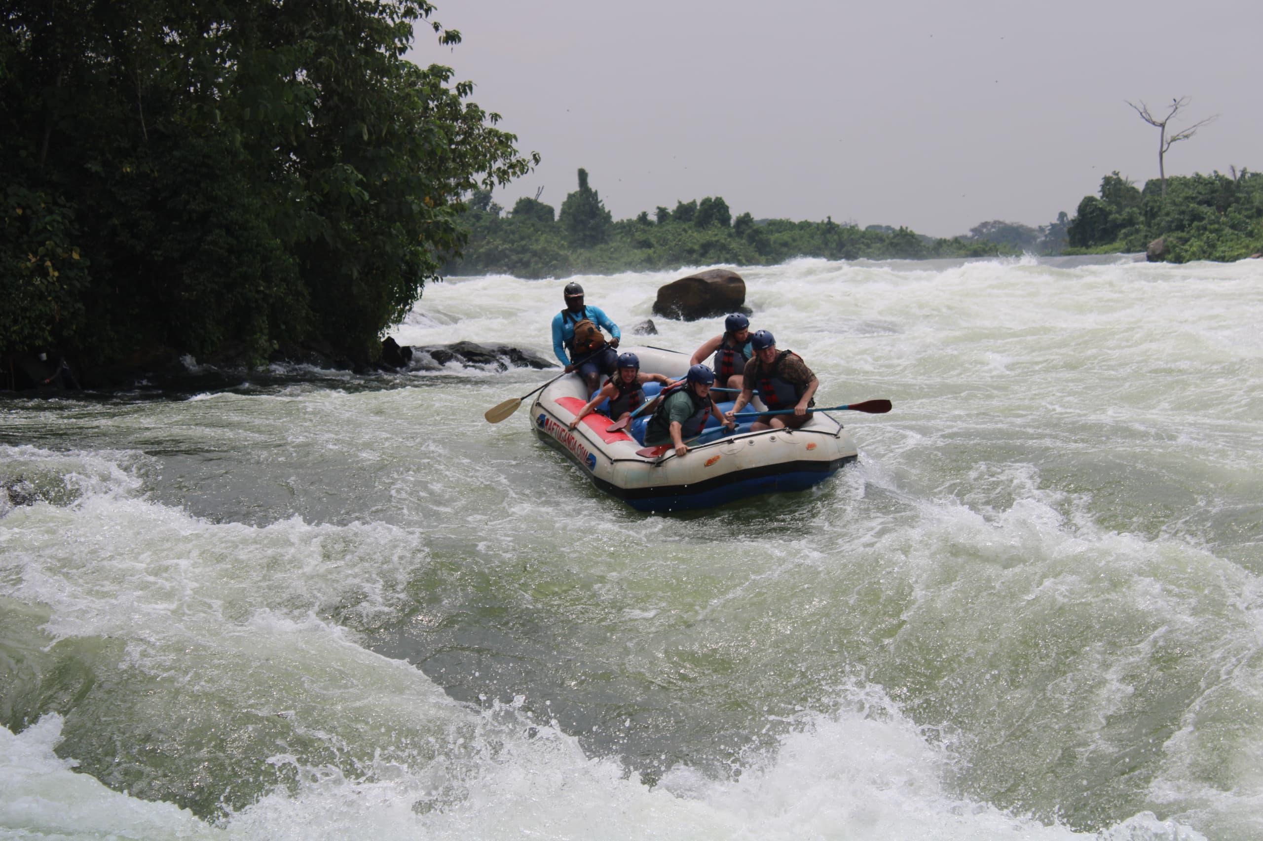 Safari gallery image 35