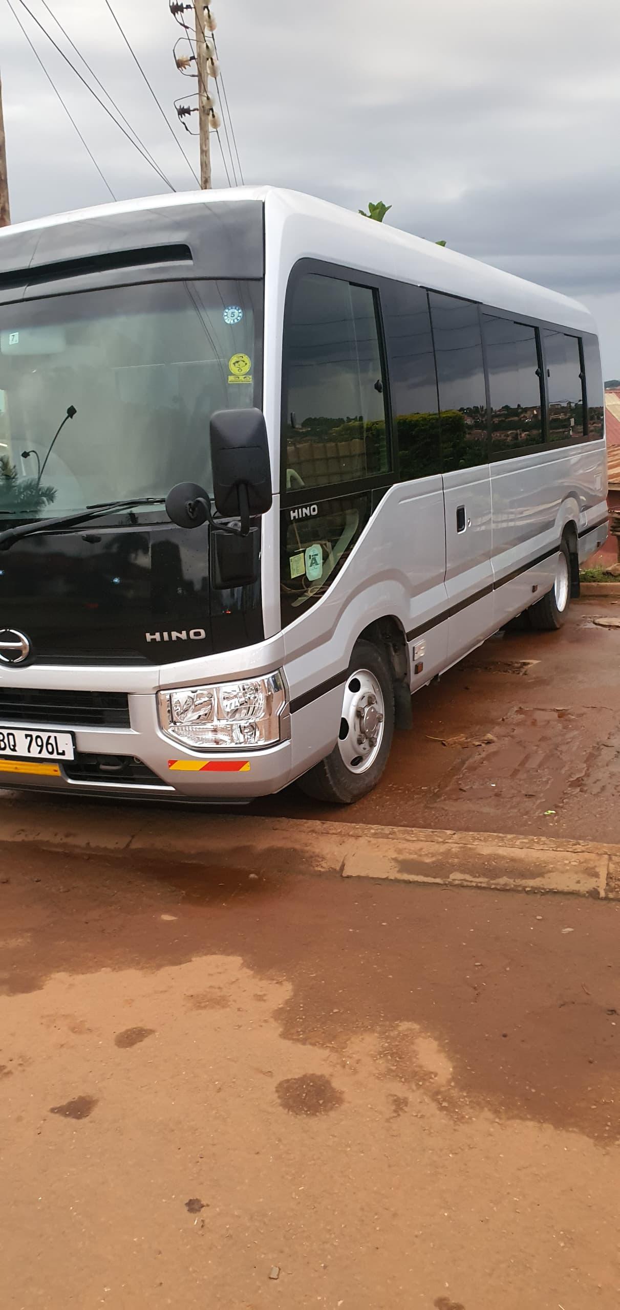 Safari gallery image 37