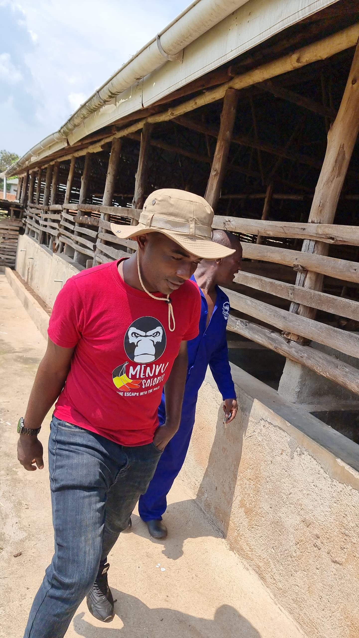 Safari gallery image 40