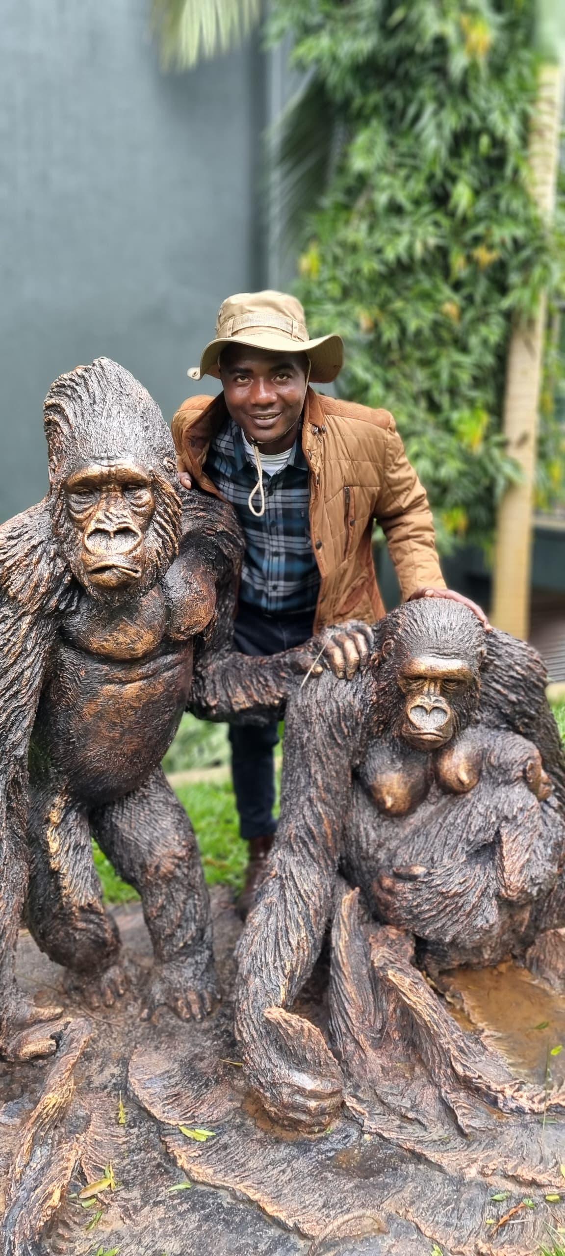 Safari gallery image 46