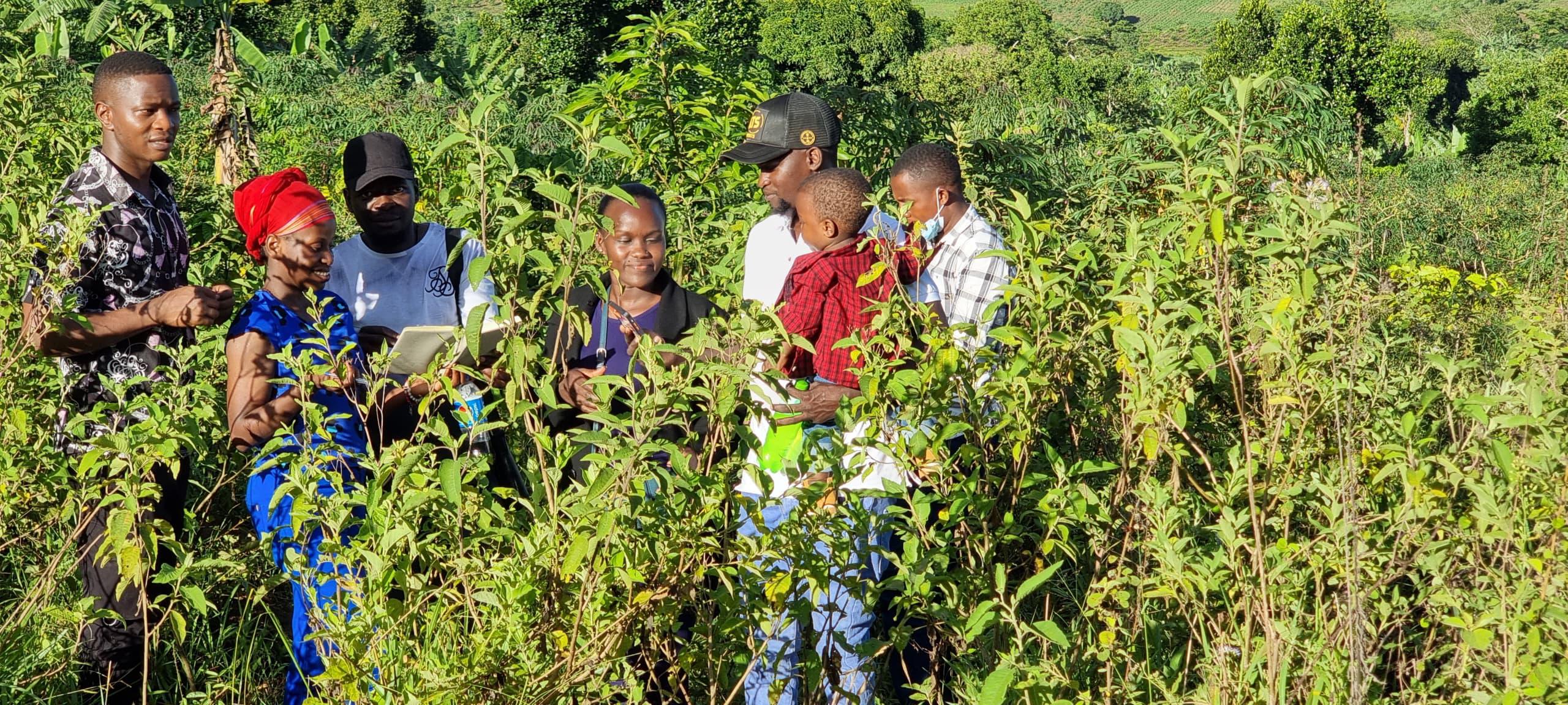 Safari gallery image 48